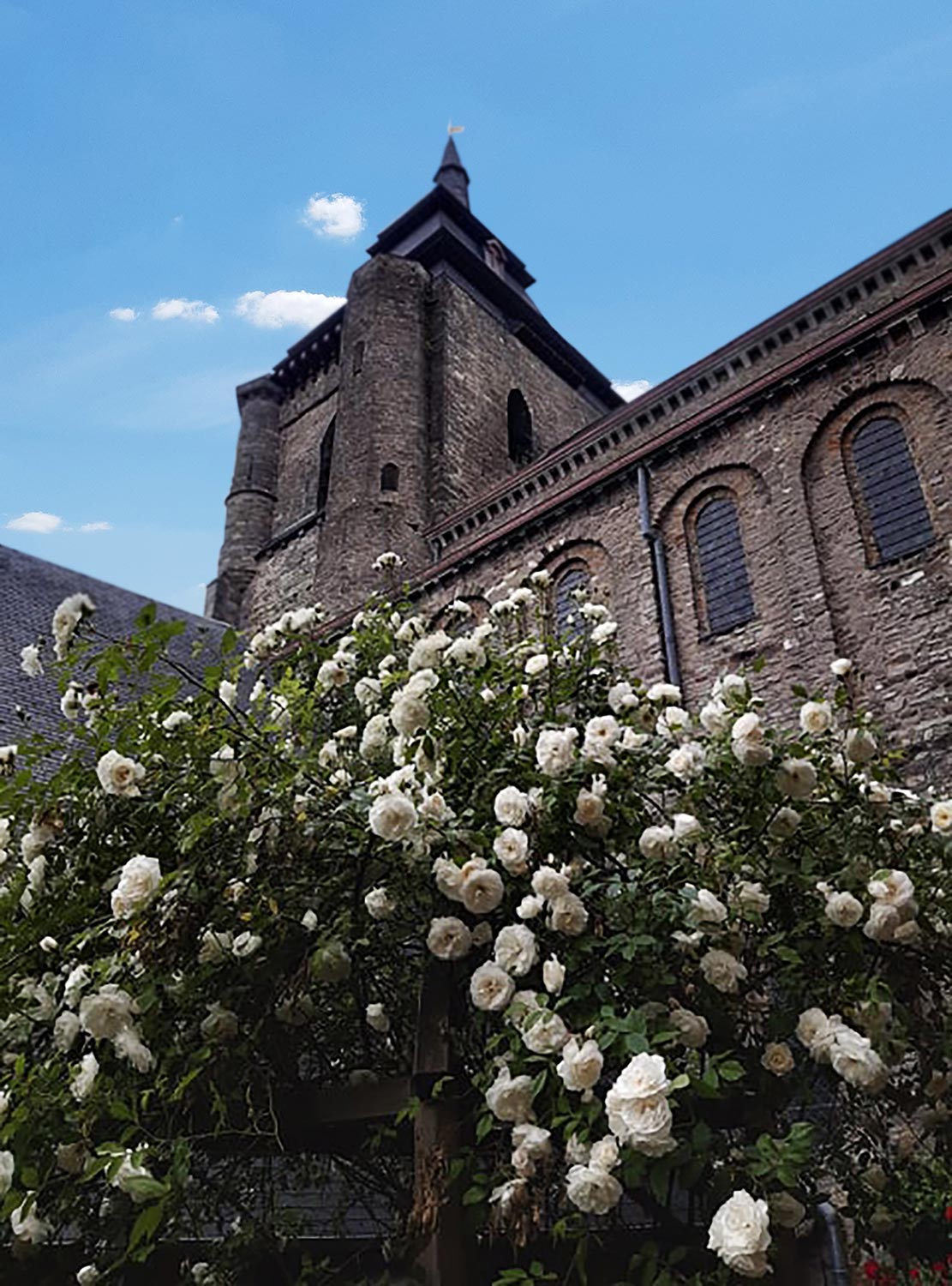 Vue du clocher de la Collégiale Saint Vincent à Soignies